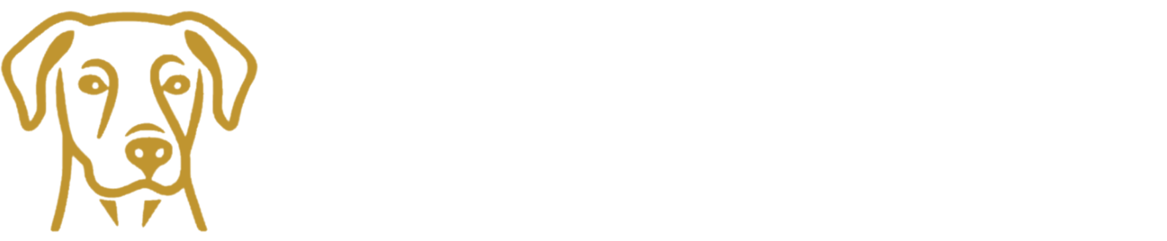 Sebastian Cafés - Cafés personalizados com sua personalidade