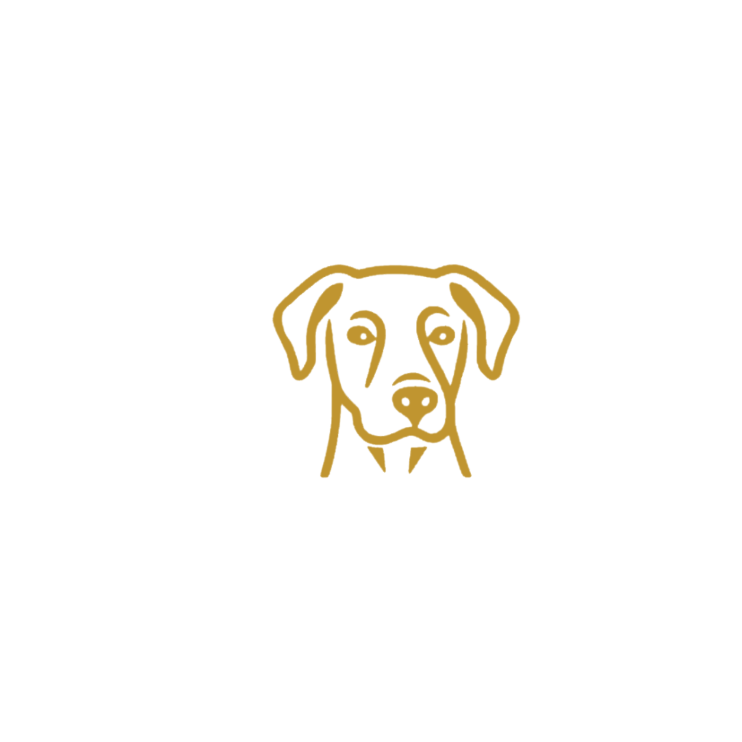 Sebastian Cafés - Cafés personalizados com sua personalidade